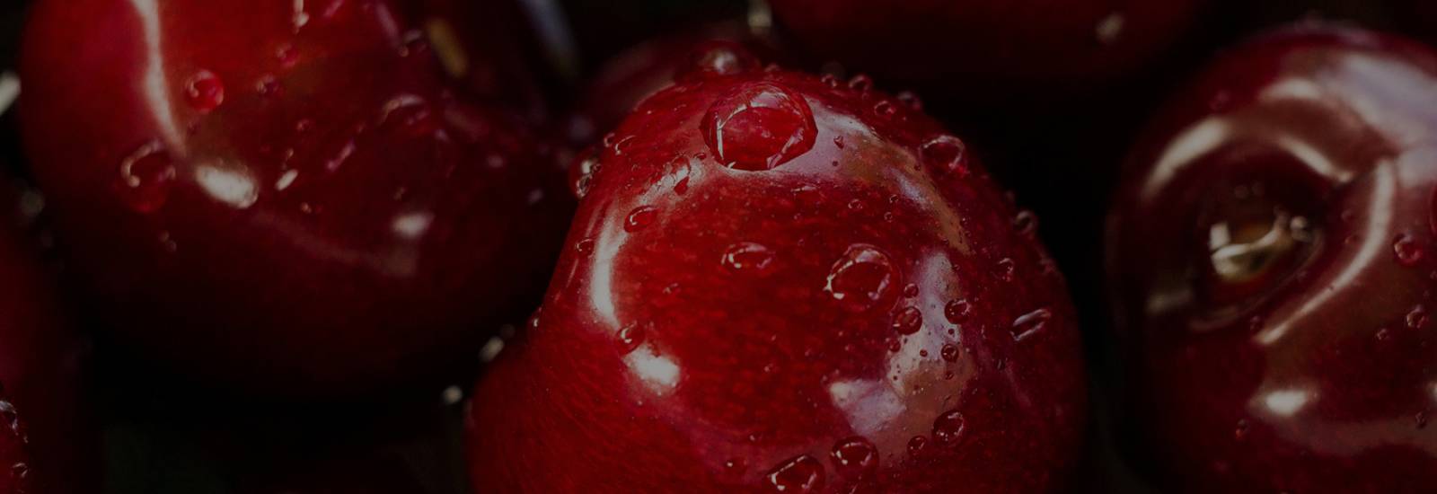 Header page image